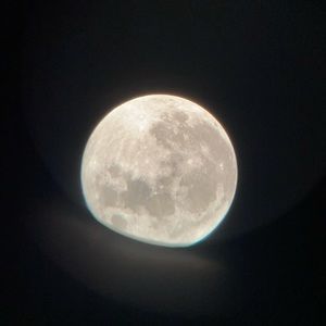 Meet your Posher, Shelby